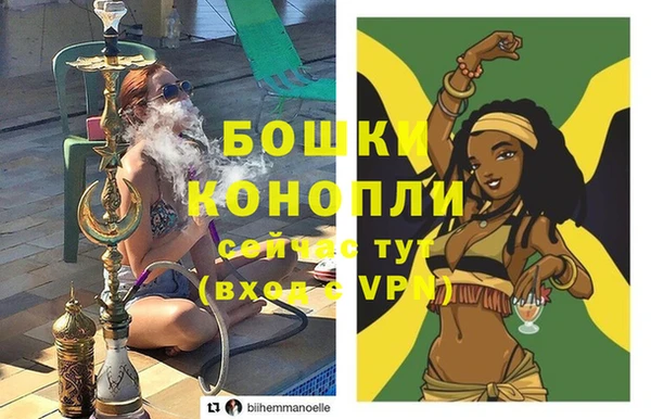 молекула духа Мегион