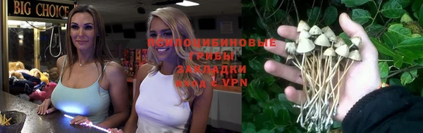 прущая мука Магас