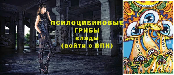 молекула духа Мегион