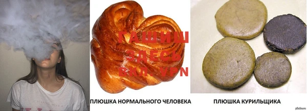 apvp Магадан