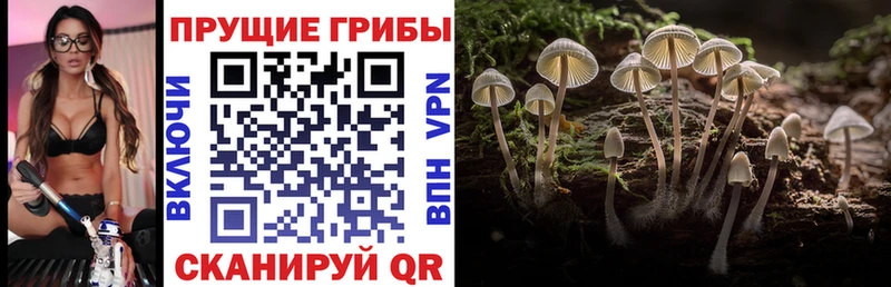Галлюциногенные грибы GOLDEN TEACHER  Купить где  Унеча 